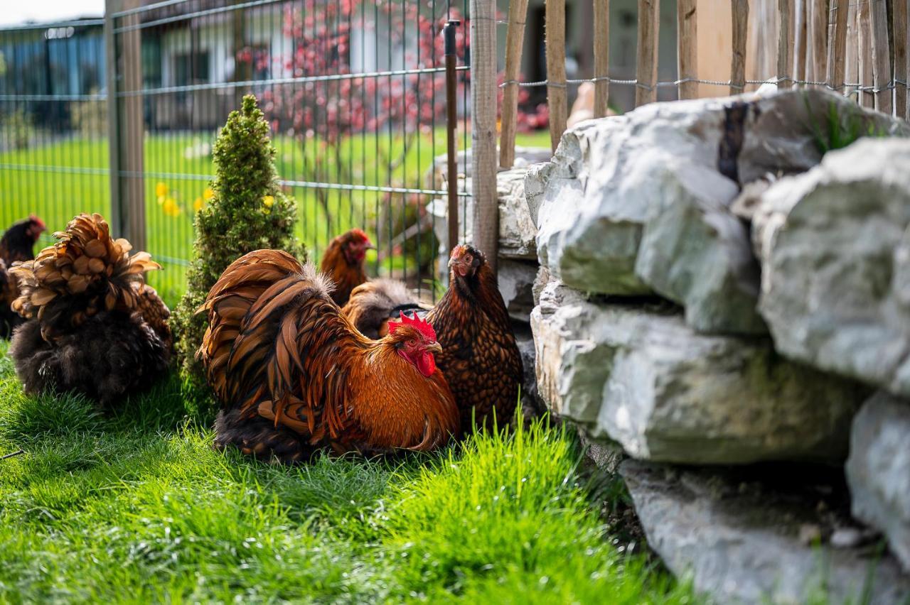 Daskaiser - Dein Gartenhotel In Tirol Ebbs Exterior foto